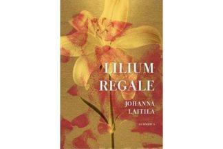 Lilium_regale