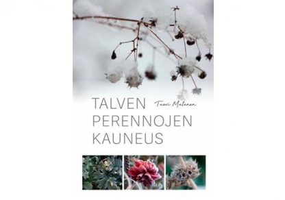 Talven_perennojen_kauneus