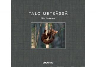 Talo_metsassa