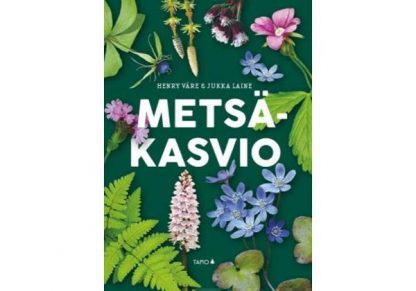 Metsakasvio