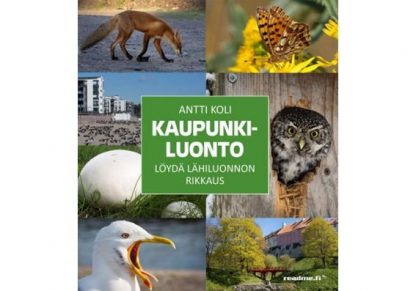 Kaupunkiluonto