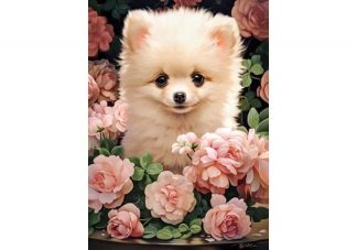 Pomeranian_Puppy_in_Roses