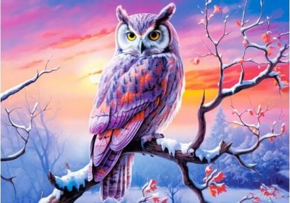 Owl_s_Perfect_Evening