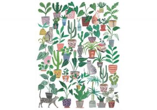 Cats_and_Plants