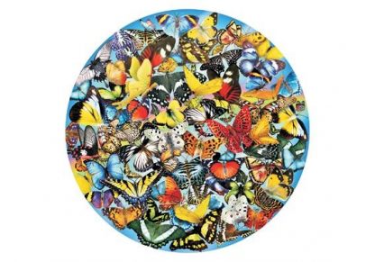 Lori_Schory___Butterflies_in_the_Round